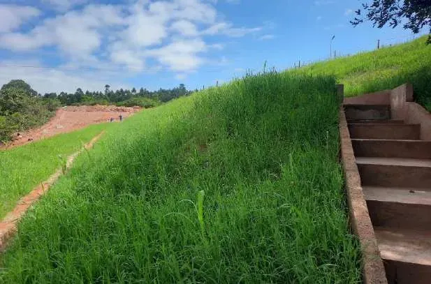 Estabilização de talude e Reserva Legal — Belgo Mineira