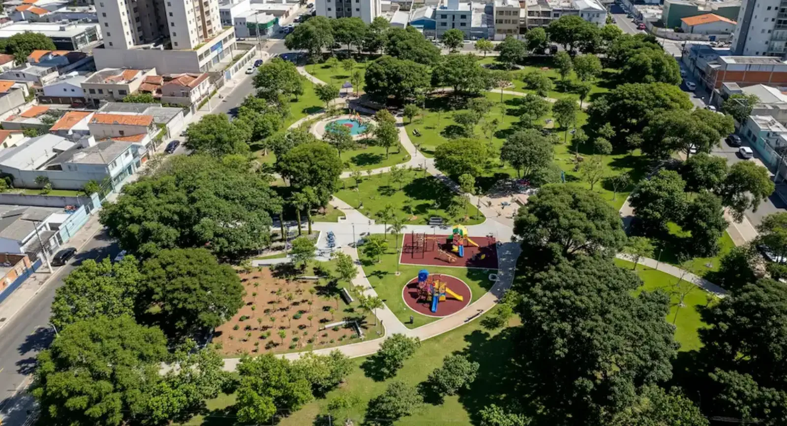Projeto de reflorestamento: 5 passos para aprovação ambiental