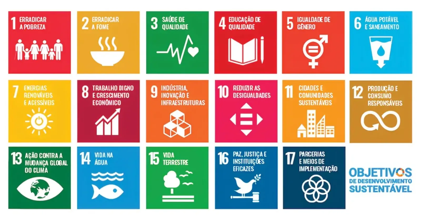 ONU: Década da Restauração de Ecossistema