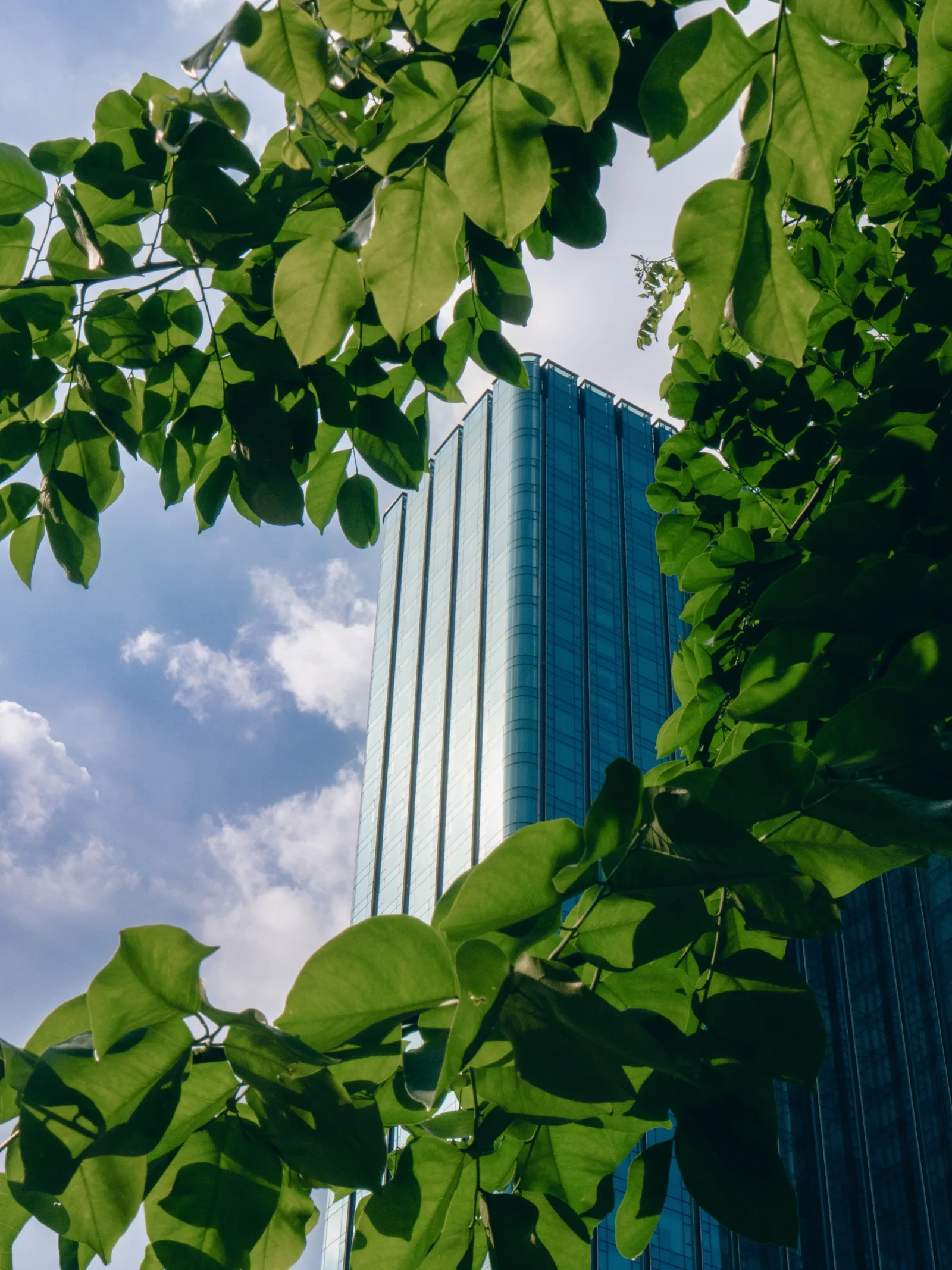 Prédios verdes: conceitos e vantagens
