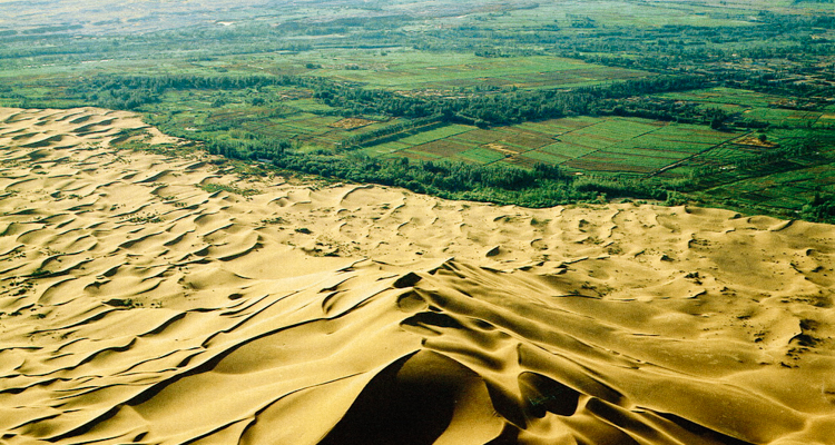 A China está construindo uma grande muralha verde para impedir a desertificação.